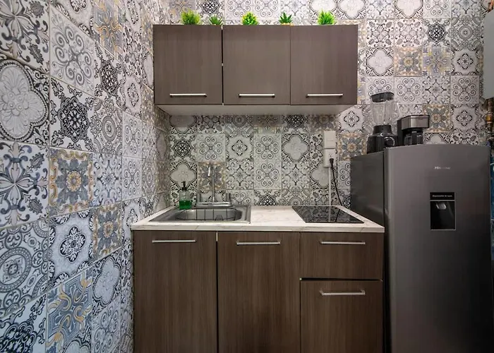 Elegant Historic 2br With Quiet Patio Walk To Zocalo México DF